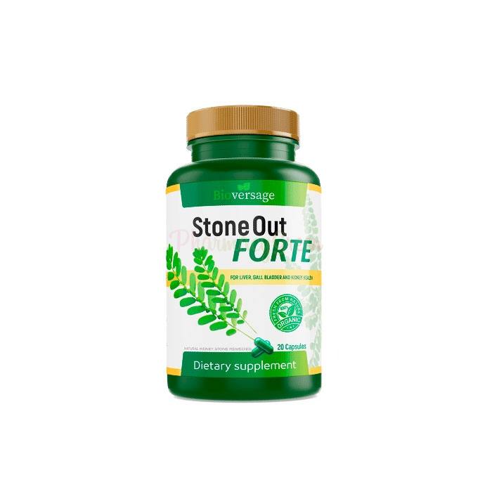 Stone Out Forte ⏤ 肾脏疾病的补救措施